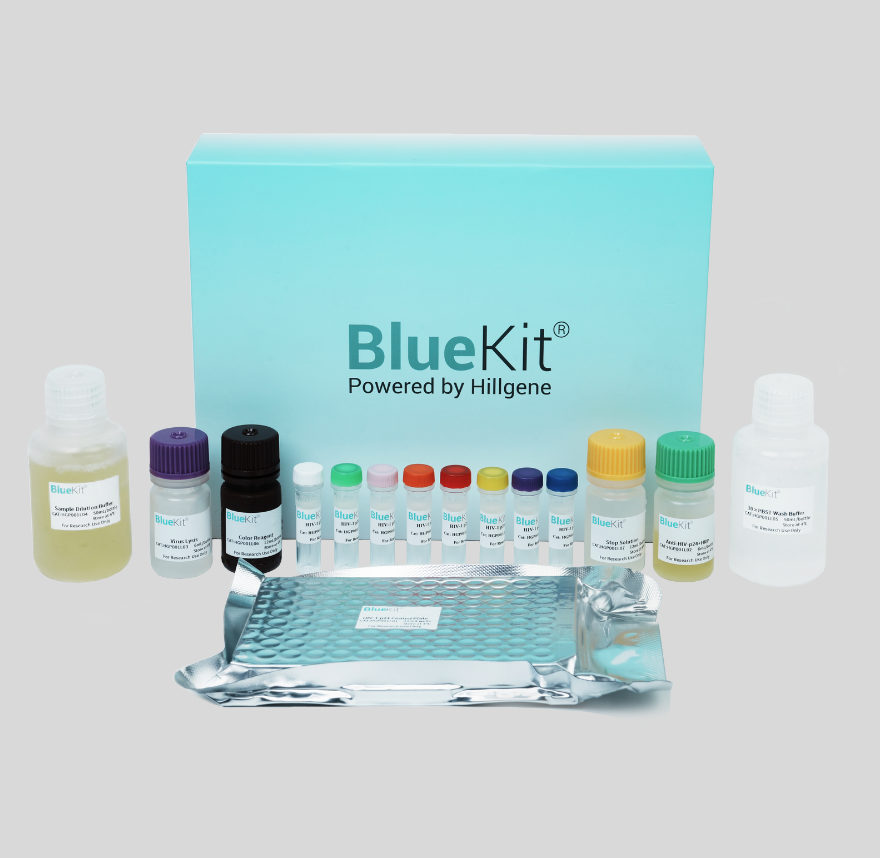 BaEV Gene Copy Number Detection Kit (qPCR)