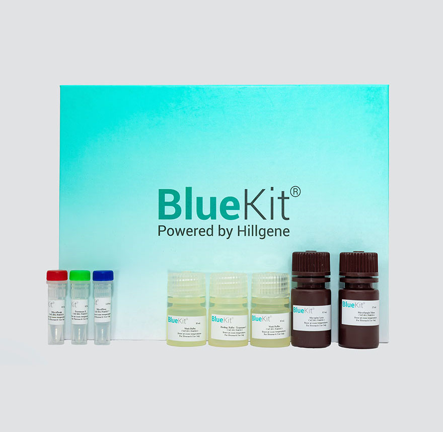 CAR-T Cell Preparation Kit