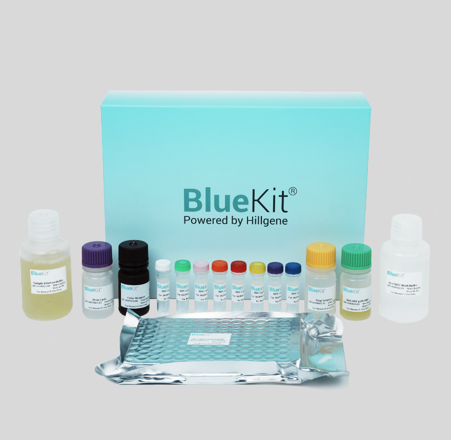 Cell Cytotoxicity Assay Kit (Adherent Target Cells)