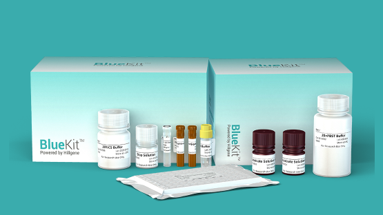 Host Cell Residual DNA Sample Preprocessing Kit (Magnetic Bead)