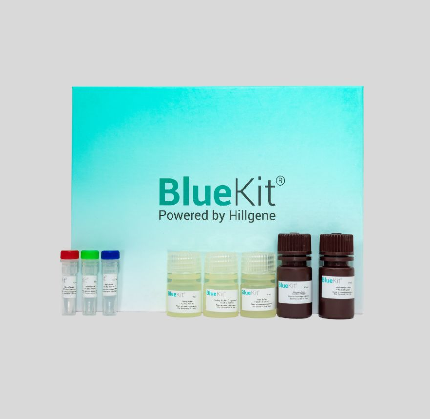 Cell Residual Human IL-15 ELISA Detection Kit