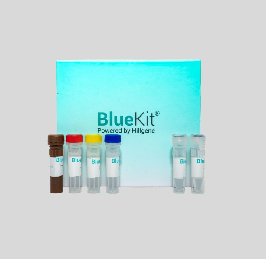 Inorganic Pyrophosphatase ELISA Detection Kit