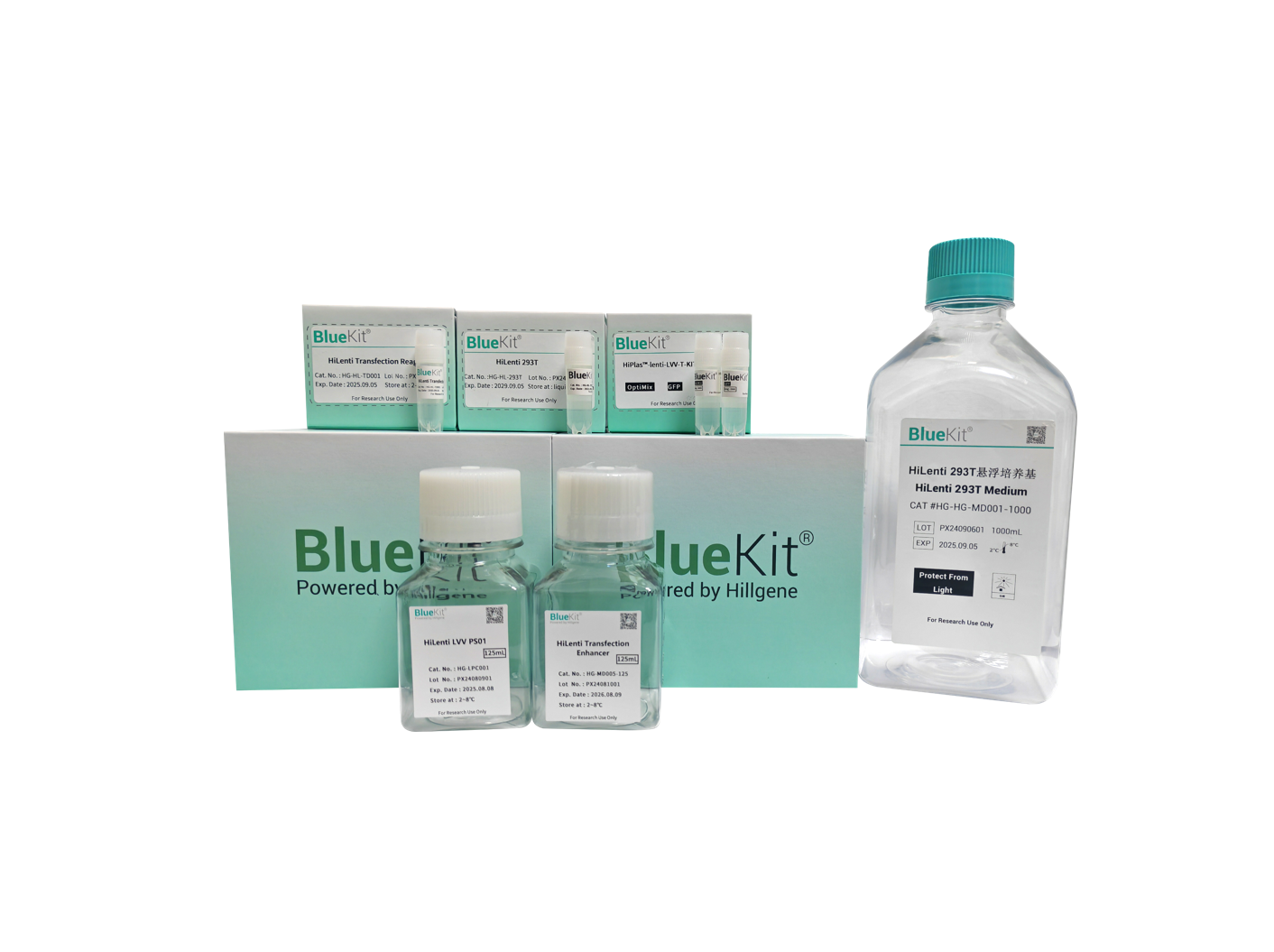 Lentiviral Packaging Kit