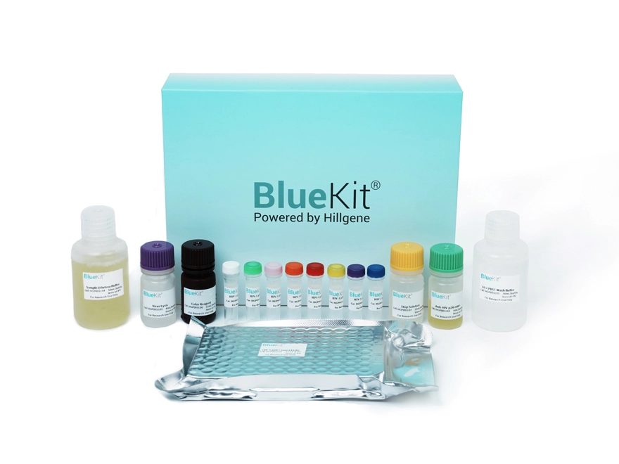 Lentivirus Titer p24 Rapid ELISA Detection Kit