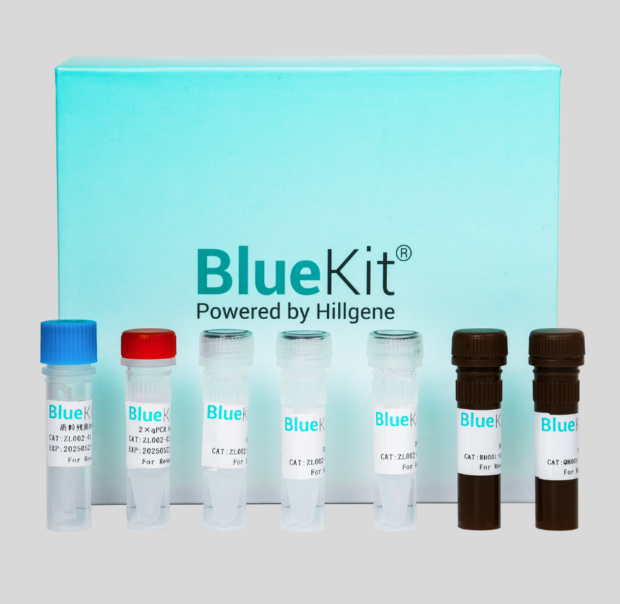 Protein A ELISA Detection Kit