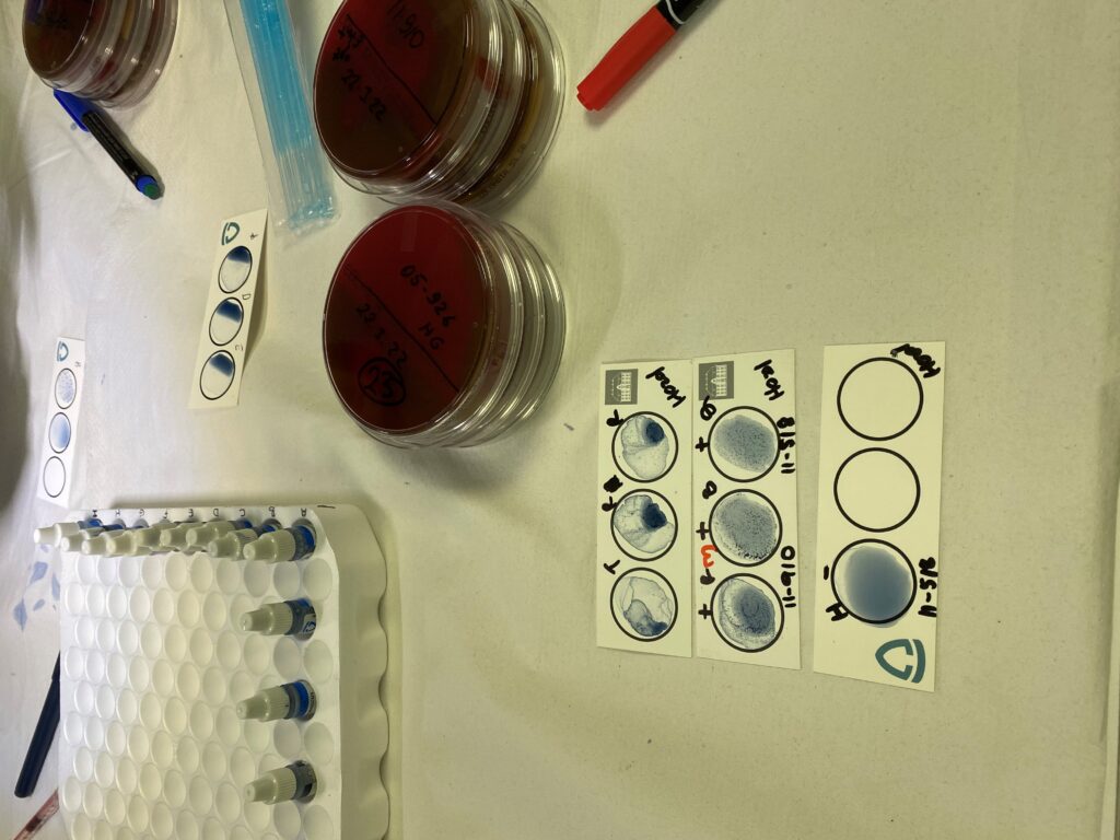 HelixLab laboratuvar çalışmaları