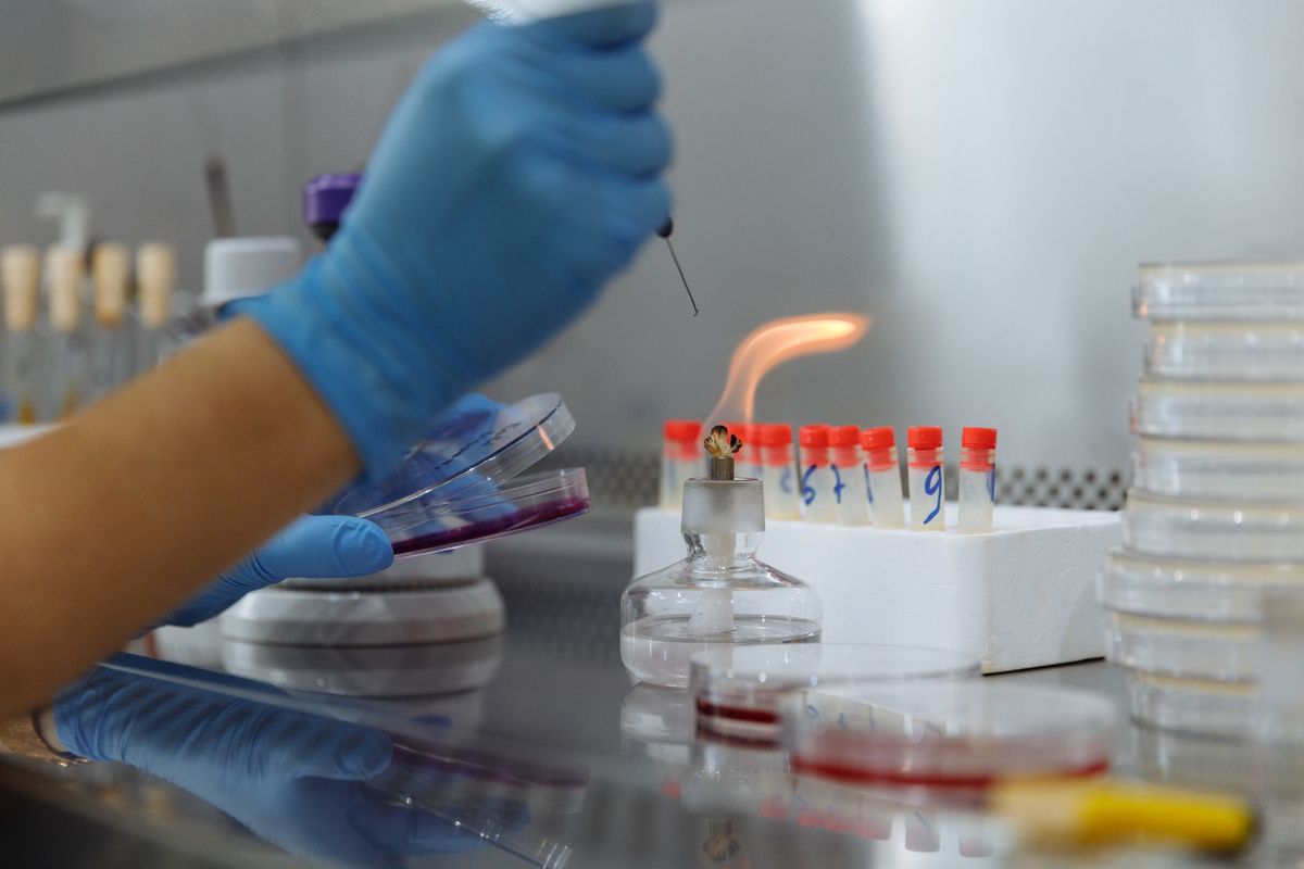 Kozmetik Ürünlerde Mikrobiyolojik Test ve GMP Uyumluluğu