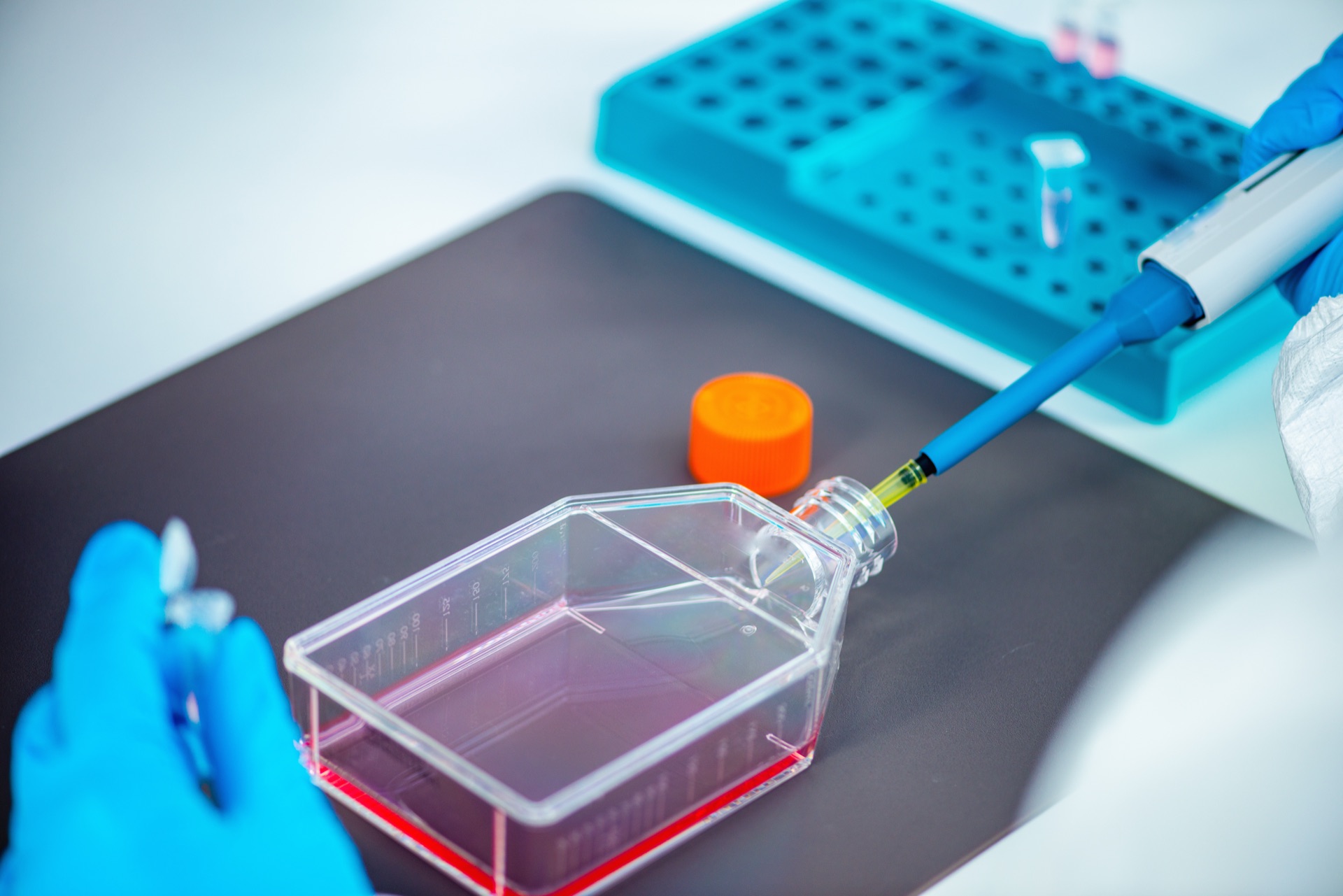 Cell & Gene Therapy