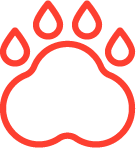 Köpek Parvovirüsü (CPV)